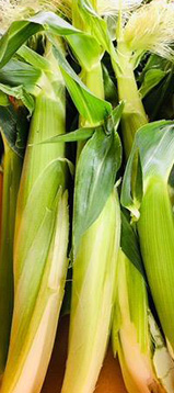 野菜